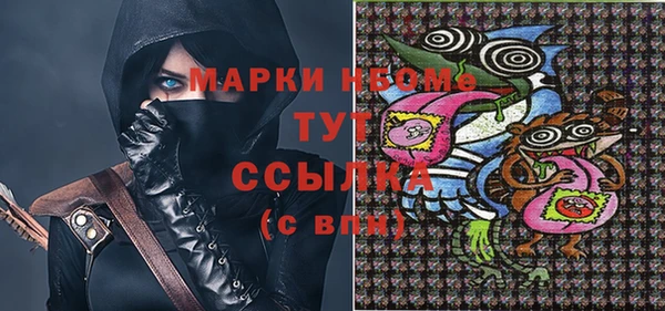 индика Апатиты