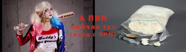 соль ск Новодвинск