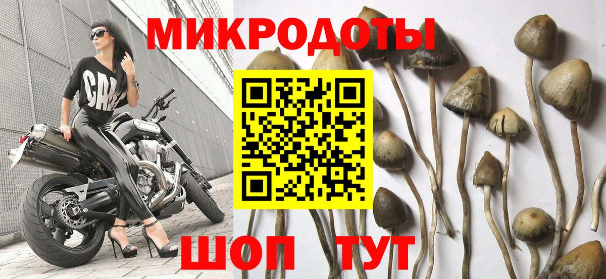 Галлюциногенные грибы мухоморы Магадан