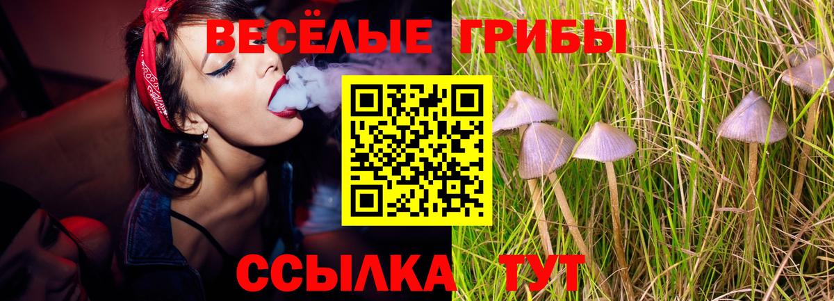 Альфа ПВП СК кристаллы  Лсд 25  Марихуана  Вход с VPN  КЕТАМИН  Магадан  ГАШ  Меф МЯУ МЯУ  МЕФ кристаллы 