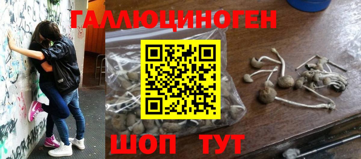Галлюциногенные грибы MAGIC MUSHROOMS  Псилоцибиновые грибы MAGIC MUSHROOMS  Магадан  Вход с VPN 